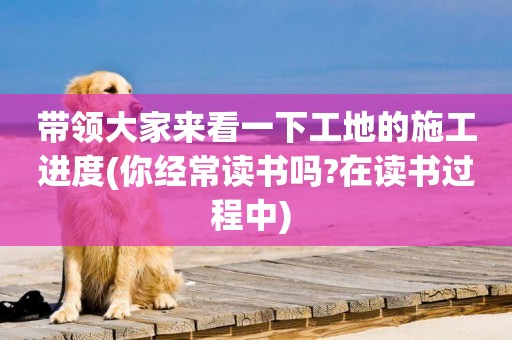 帶領大家來看一下工地的施工進度(你經常讀書嗎?在讀書過程中) 