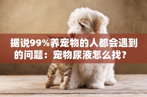 據說99%養寵物的人都會遇到的問題：寵物尿液怎么找？ 