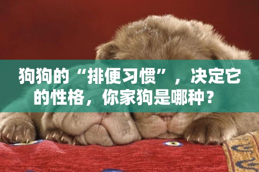 狗狗的“排便習慣”，決定它的性格，你家狗是哪種？ 