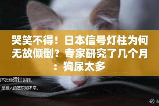 哭笑不得！日本信號燈柱為何無故傾倒？專家研究了幾個月：狗尿太多 