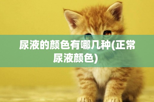 尿液的顏色有哪幾種(正常尿液顏色) 
