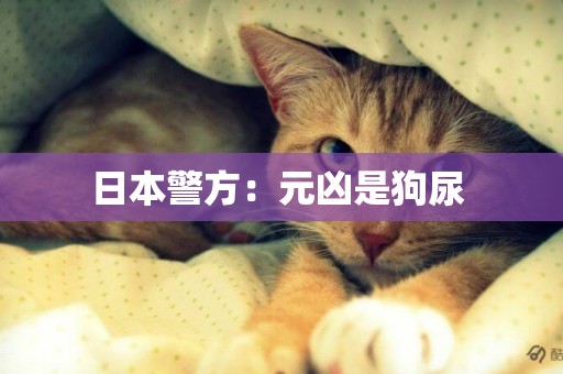 日本警方：元兇是狗尿 