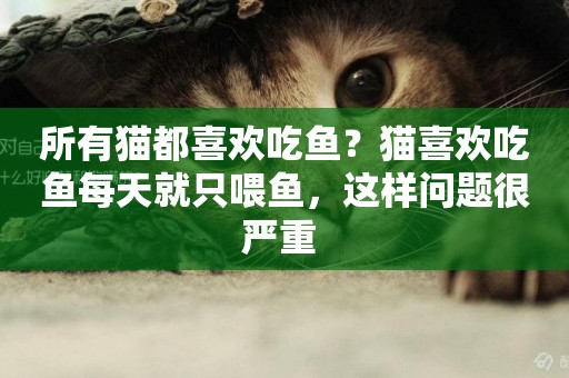 所有貓都喜歡吃魚？貓喜歡吃魚每天就只喂魚，這樣問題很嚴重 