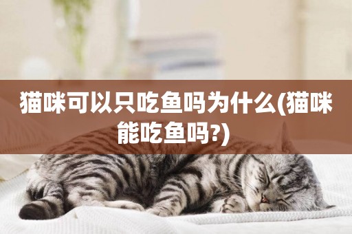 貓咪可以只吃魚嗎為什么(貓咪能吃魚嗎?) 