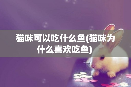 貓咪可以吃什么魚(貓咪為什么喜歡吃魚) 