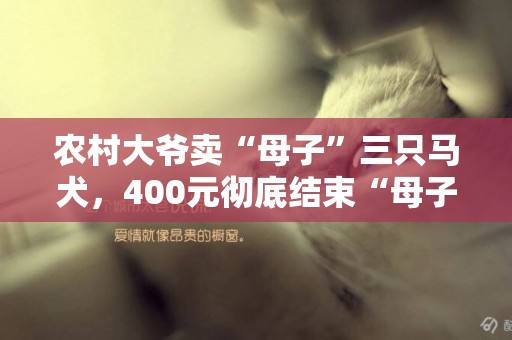 農村大爺賣“母子”三只馬犬，400元徹底結束“母子情”，看啥樣 