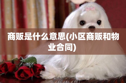商販是什么意思(小區商販和物業合同) 