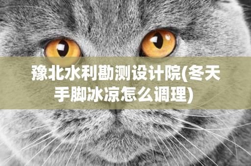 豫北水利勘測設計院(冬天手腳冰涼怎么調理) 