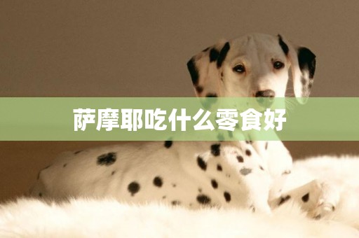 薩摩耶吃什么零食好