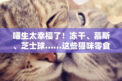 喵生太幸福了！凍干、慕斯、芝士球……這些貓咪零食把我看饞了 