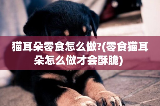 貓耳朵零食怎么做?(零食貓耳朵怎么做才會酥脆) 