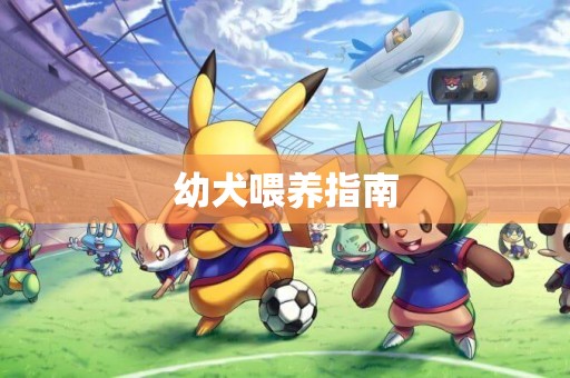 幼犬喂養指南
