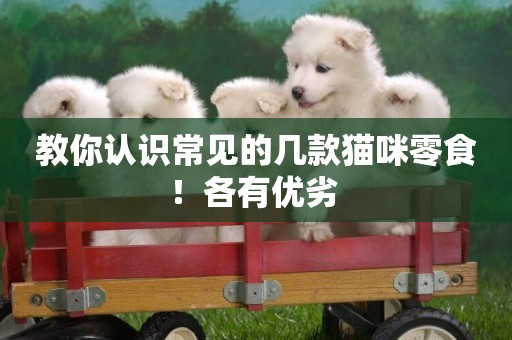 教你認識常見的幾款貓咪零食！各有優劣 
