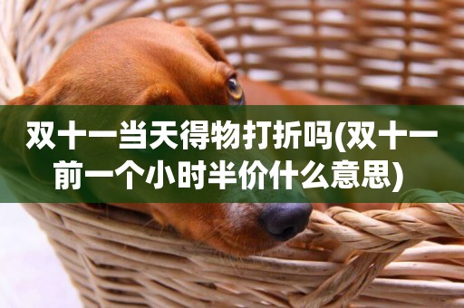 雙十一當天得物打折嗎(雙十一前一個小時半價什么意思) 