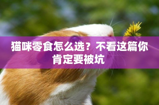 貓咪零食怎么選？不看這篇你肯定要被坑 