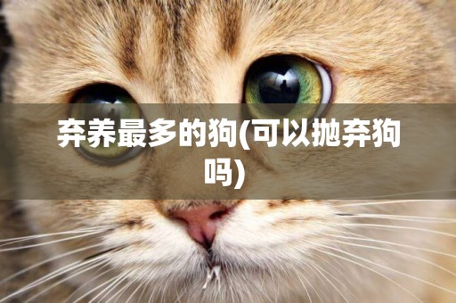 棄養最多的狗(可以拋棄狗嗎) 