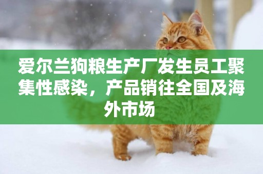 愛爾蘭狗糧生產廠發生員工聚集性感染，產品銷往全國及海外市場 