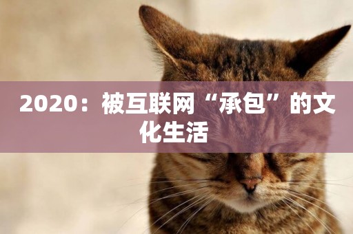 2020：被互聯網“承包”的文化生活 