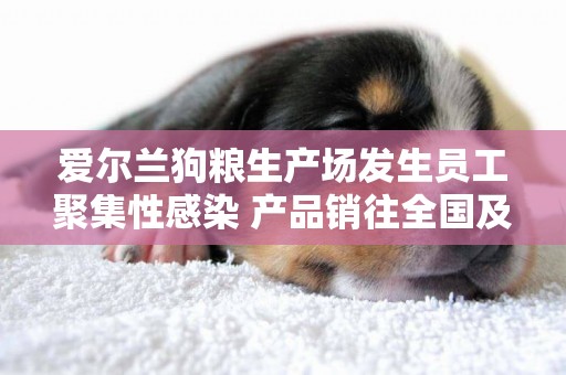 愛爾蘭狗糧生產場發生員工聚集性感染 產品銷往全國及海外市場 