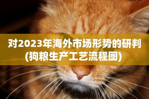 對2023年海外市場形勢的研判(狗糧生產工藝流程圖) 