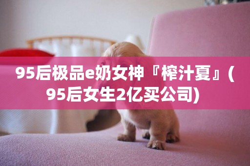 95后極品e奶女神『榨汁夏』(95后女生2億買公司) 