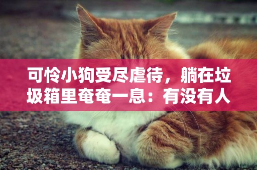 可憐小狗受盡虐待，躺在垃圾箱里奄奄一息：有沒有人來救救我 