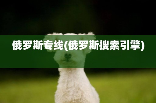 俄羅斯專線(俄羅斯搜索引擎) 