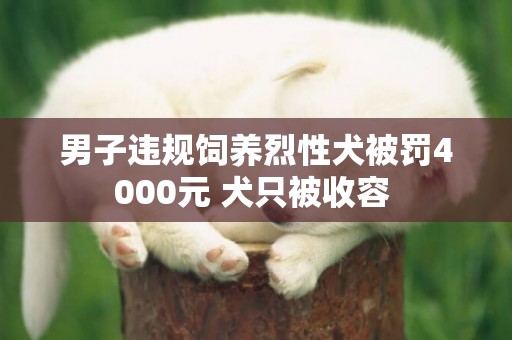 男子違規飼養烈性犬被罰4000元 犬只被收容 