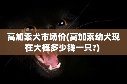 高加索犬市場價(高加索幼犬現在大概多少錢一只?) 