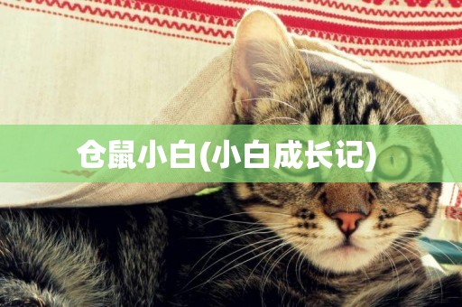 倉鼠小白(小白成長記) 