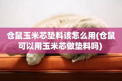 倉鼠玉米芯墊料該怎么用(倉鼠可以用玉米芯做墊料嗎) 