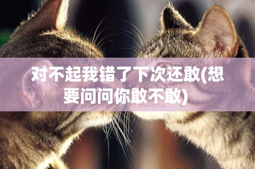 對不起我錯了下次還敢(想要問問你敢不敢) 