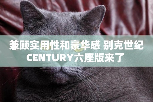 兼顧實用性和豪華感 別克世紀CENTURY六座版來了 