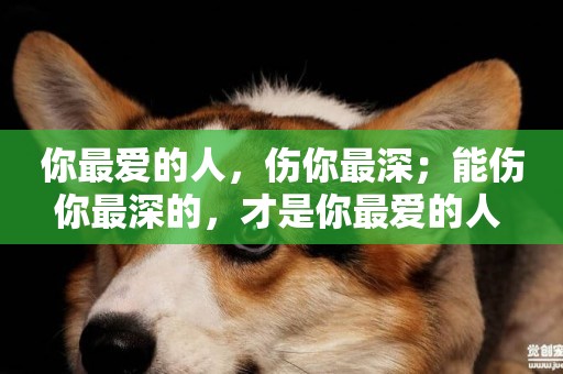 你最愛的人，傷你最深；能傷你最深的，才是你最愛的人 