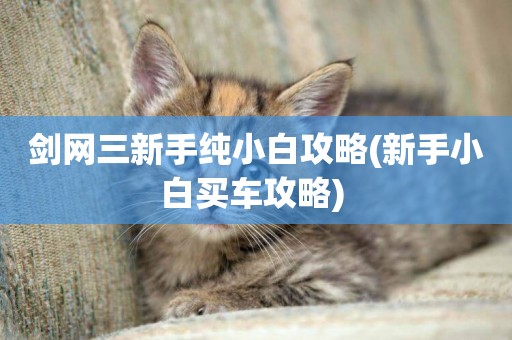 劍網三新手純小白攻略(新手小白買車攻略) 