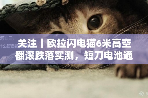 關注｜歐拉閃電貓6米高空翻滾跌落實測，短刀電池通過極限挑戰 
