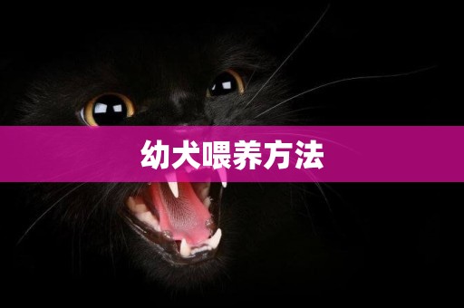 幼犬喂養方法