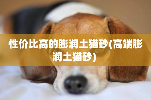 性價比高的膨潤土貓砂(高端膨潤土貓砂) 