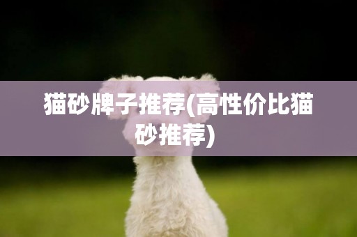 貓砂牌子推薦(高性價比貓砂推薦) 