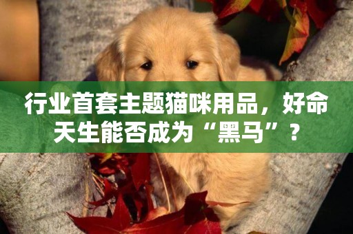 行業首套主題貓咪用品，好命天生能否成為“黑馬”？