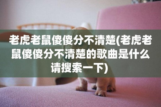 老虎老鼠傻傻分不清楚(老虎老鼠傻傻分不清楚的歌曲是什么請搜索一下) 