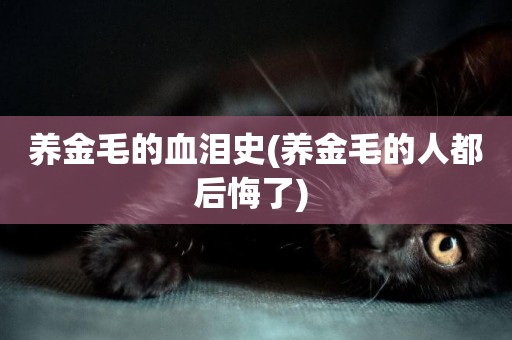 養金毛的血淚史(養金毛的人都后悔了) 