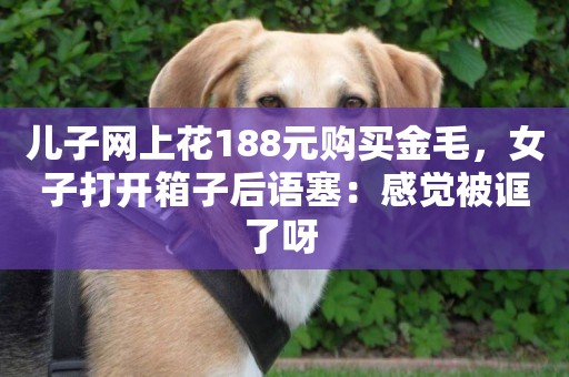 兒子網上花188元購買金毛，女子打開箱子后語塞：感覺被誆了呀 