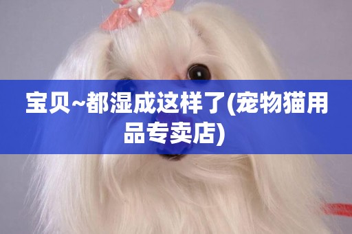 寶貝~都濕成這樣了(寵物貓用品專賣店) 