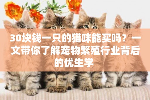 30塊錢一只的貓咪能買嗎？一文帶你了解寵物繁殖行業背后的優生學 