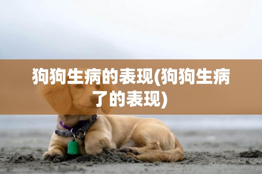 狗狗生病的表現(狗狗生病了的表現) 