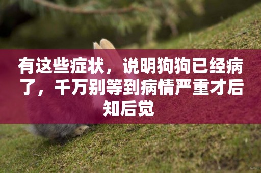 有這些癥狀，說明狗狗已經病了，千萬別等到病情嚴重才后知后覺 