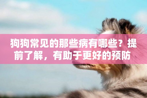 狗狗常見的那些病有哪些？提前了解，有助于更好的預防 