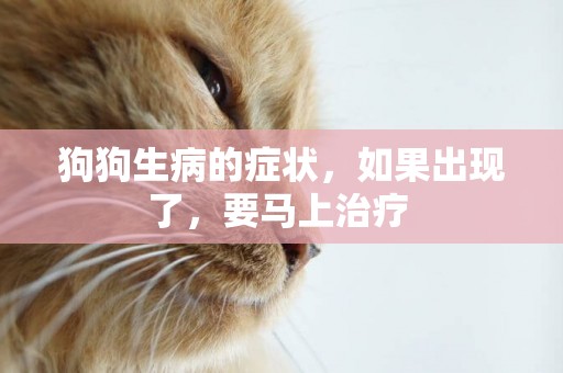 狗狗生病的癥狀，如果出現了，要馬上治療 
