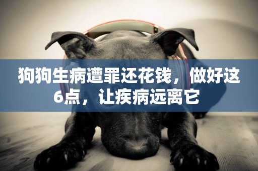 狗狗生病遭罪還花錢，做好這6點，讓疾病遠離它 